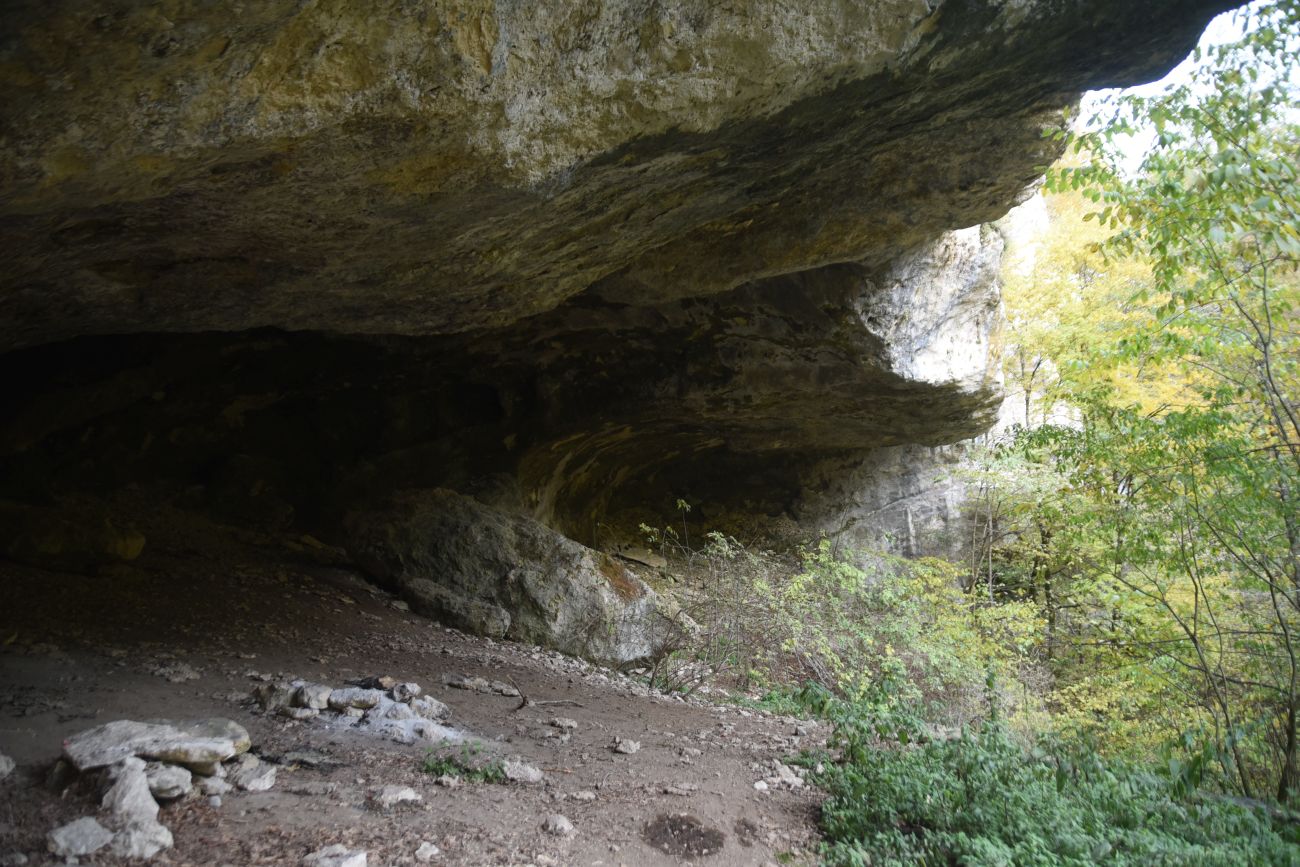 Окрестности устья ручья Толмач, изображение ландшафта.