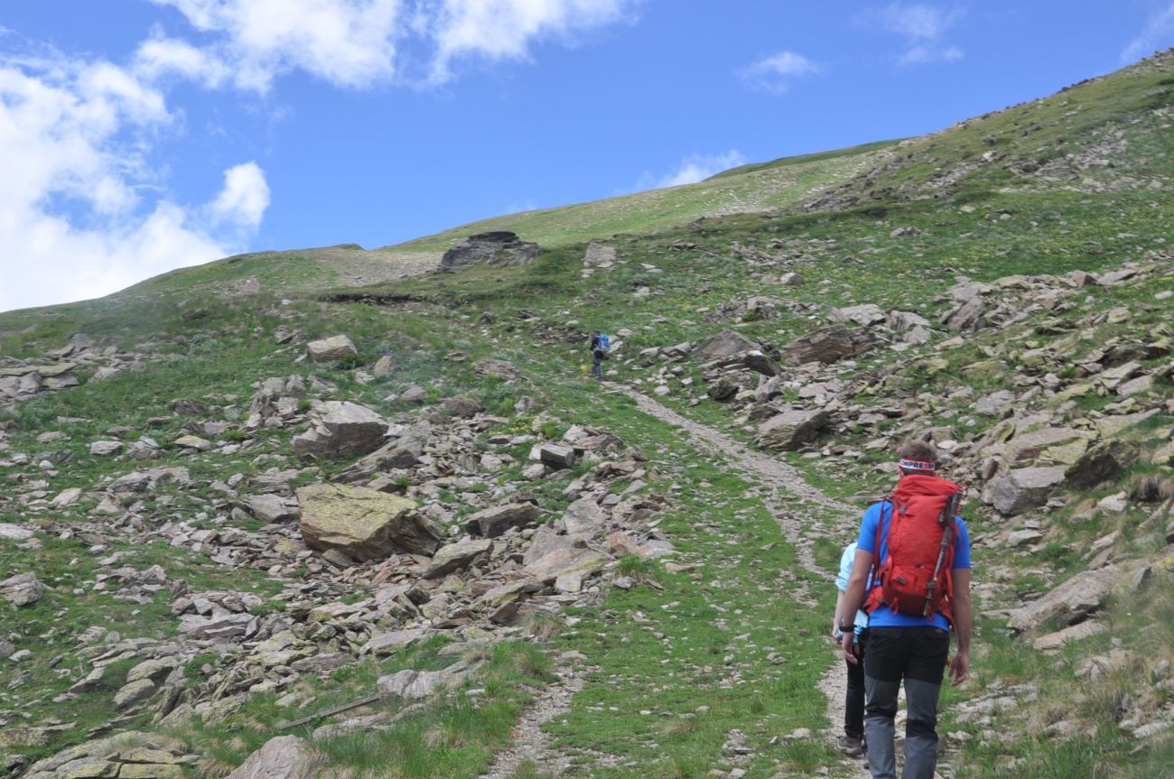 Восточный склон горы Чегет, image of landscape/habitat.