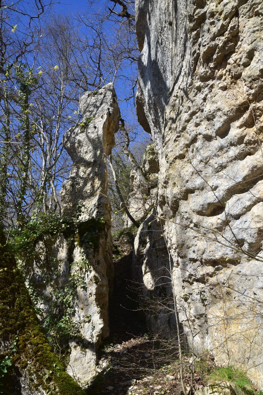 Скала Танковый Люк, image of landscape/habitat.