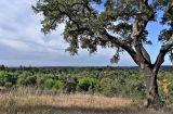 Image of landscape
