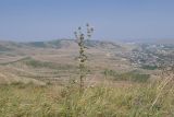 Image of landscape