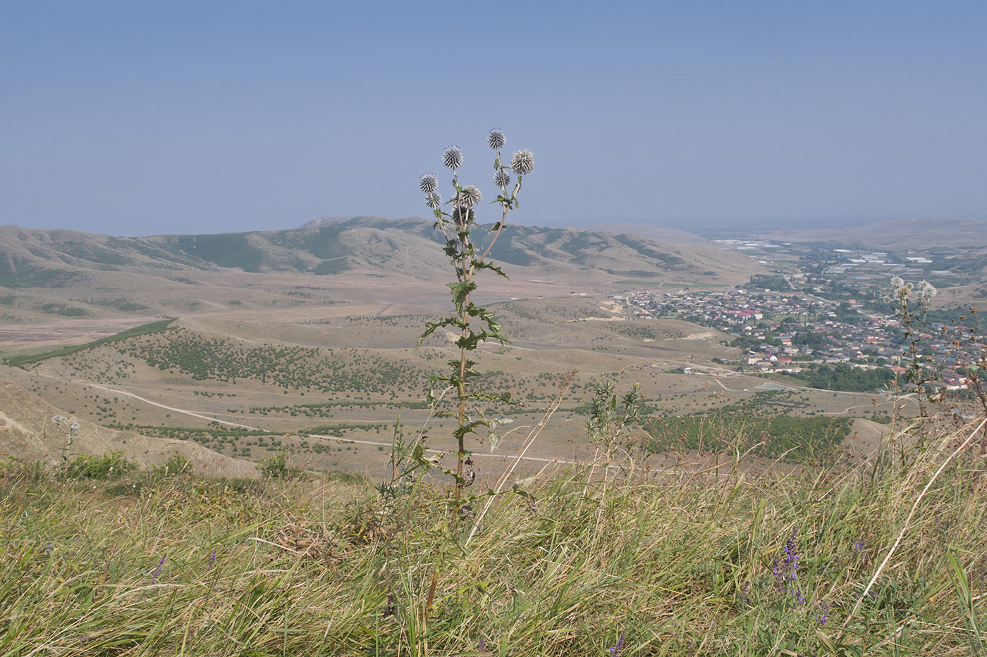 Джавандаг, image of landscape/habitat.