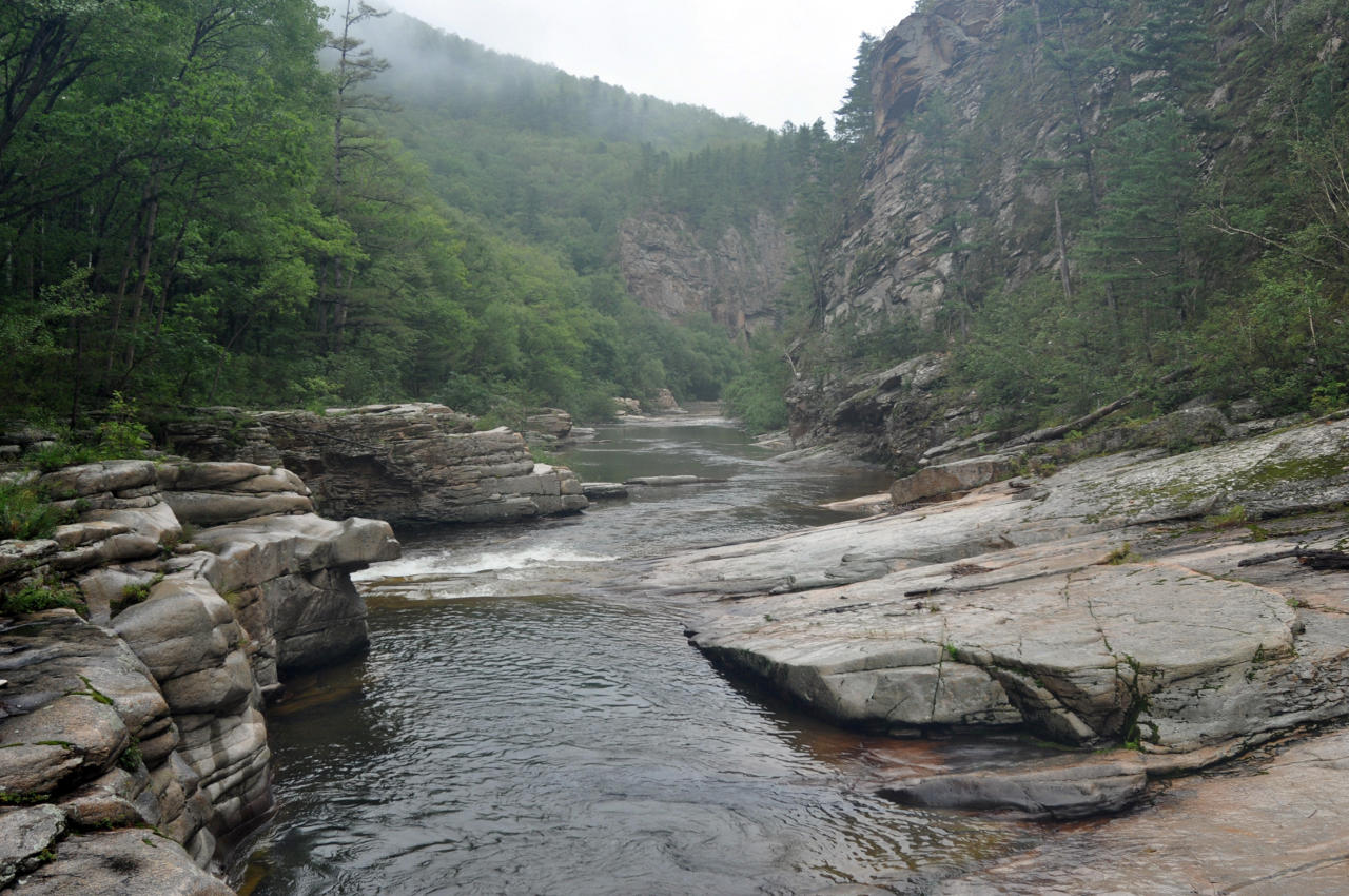 Долина реки Милоградовка, image of landscape/habitat.