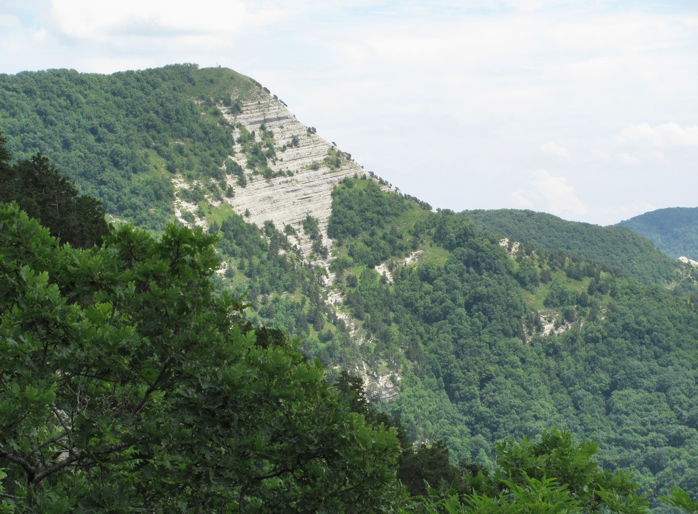 Гора Западный Папай, image of landscape/habitat.