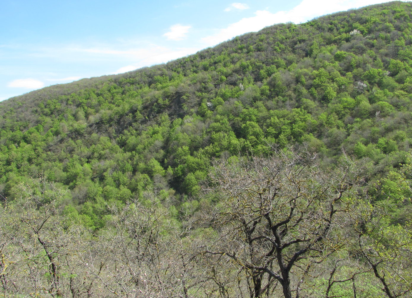 Дербент, image of landscape/habitat.