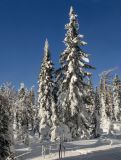 Окрестности деревни Отнурок, image of landscape/habitat.