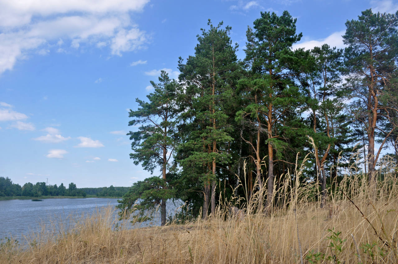 Озеро Киреты, image of landscape/habitat.