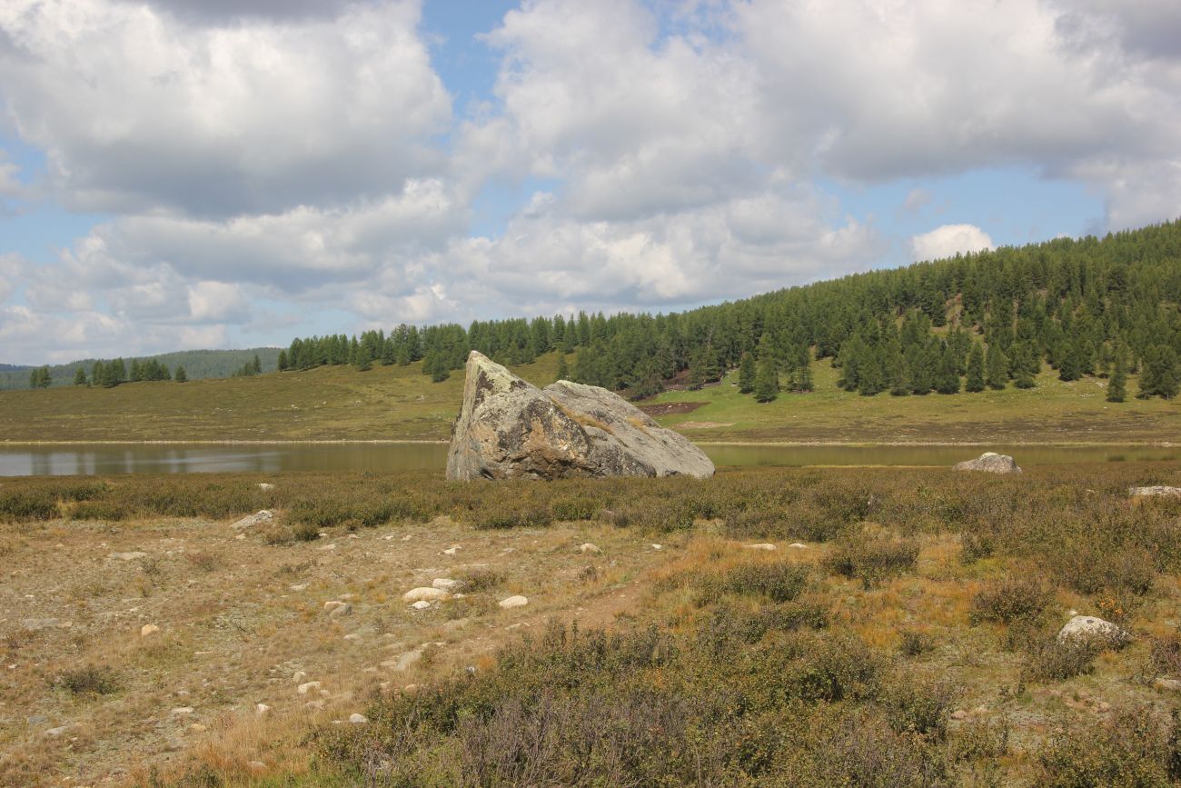 Окрестности озера Узункёль, image of landscape/habitat.