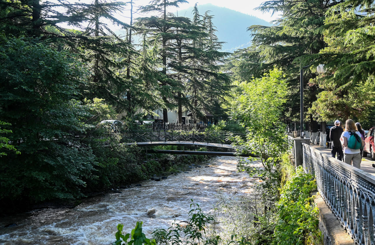 Боржоми, image of landscape/habitat.