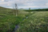 Яльчигулово и окрестности, image of landscape/habitat.