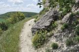 Окрестности мкр-на Пневматика, image of landscape/habitat.