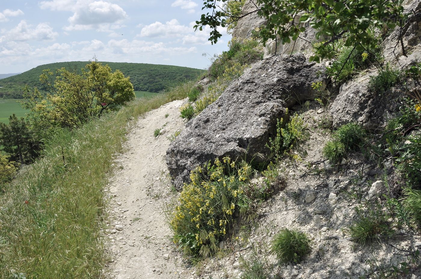 Окрестности мкр-на Пневматика, image of landscape/habitat.