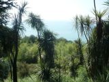 Image of landscape