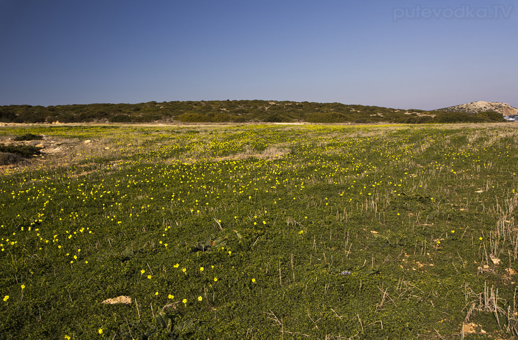 Остров Парос, image of landscape/habitat.