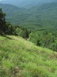 Image of landscape