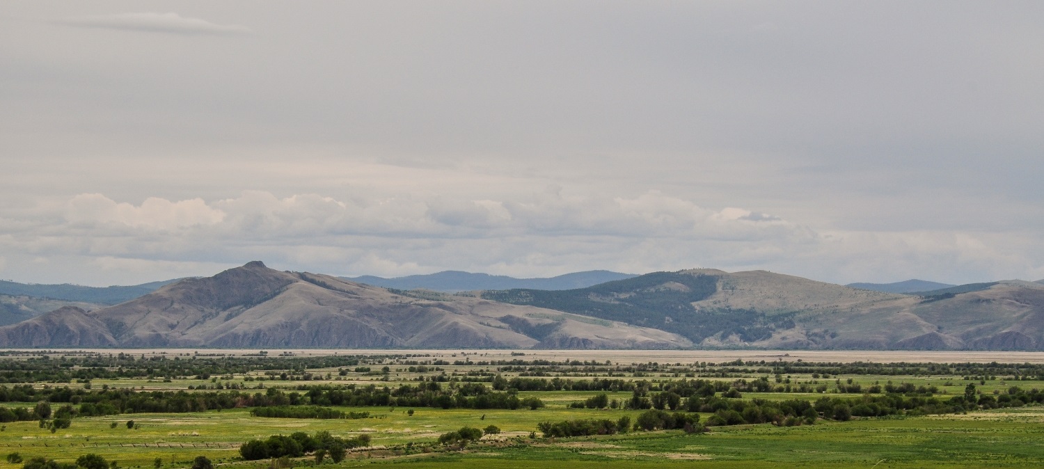 Оронгойская долина, image of landscape/habitat.