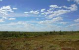 Васюганское болото, Болтное, изображение ландшафта.