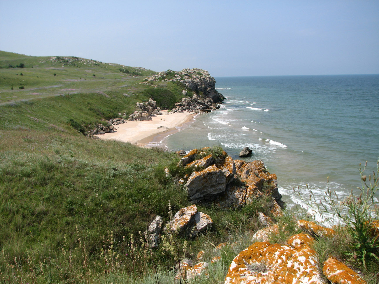 Караларская степь, image of landscape/habitat.