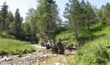 Image of landscape