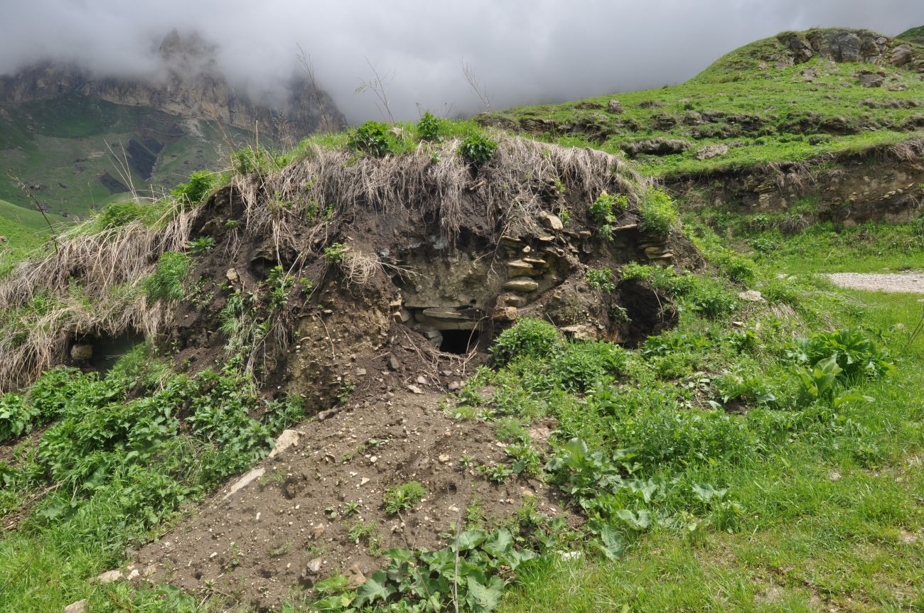 Окрестности скалы Арка, image of landscape/habitat.