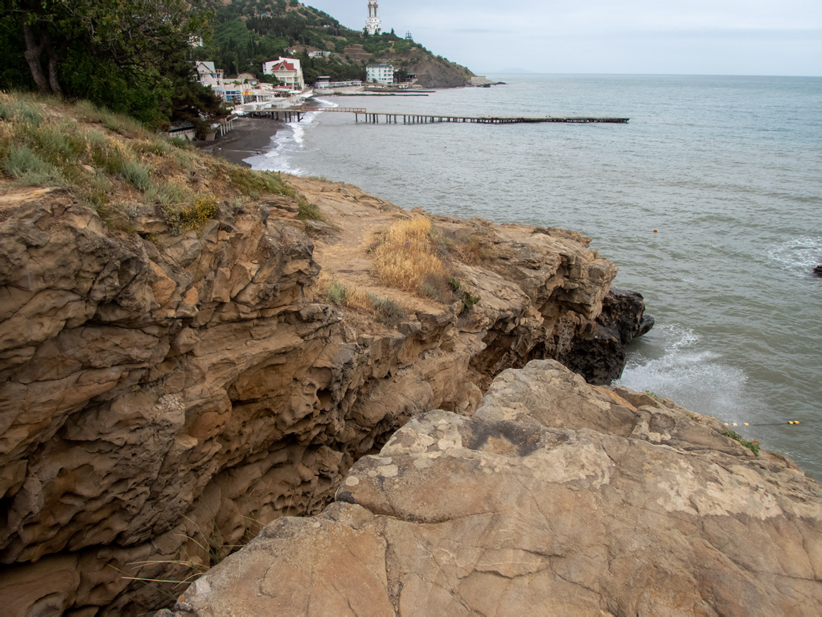 Малореченское и окрестности, image of landscape/habitat.