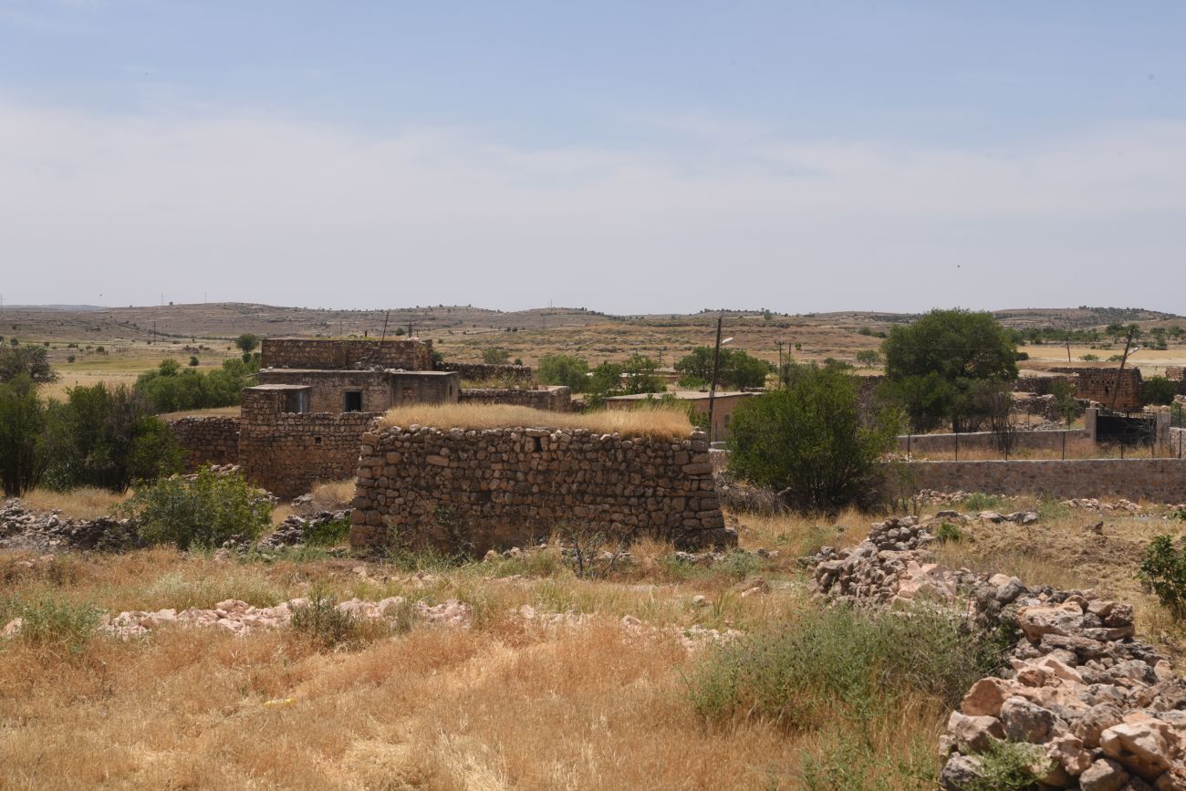 Избирак (Заз), image of landscape/habitat.