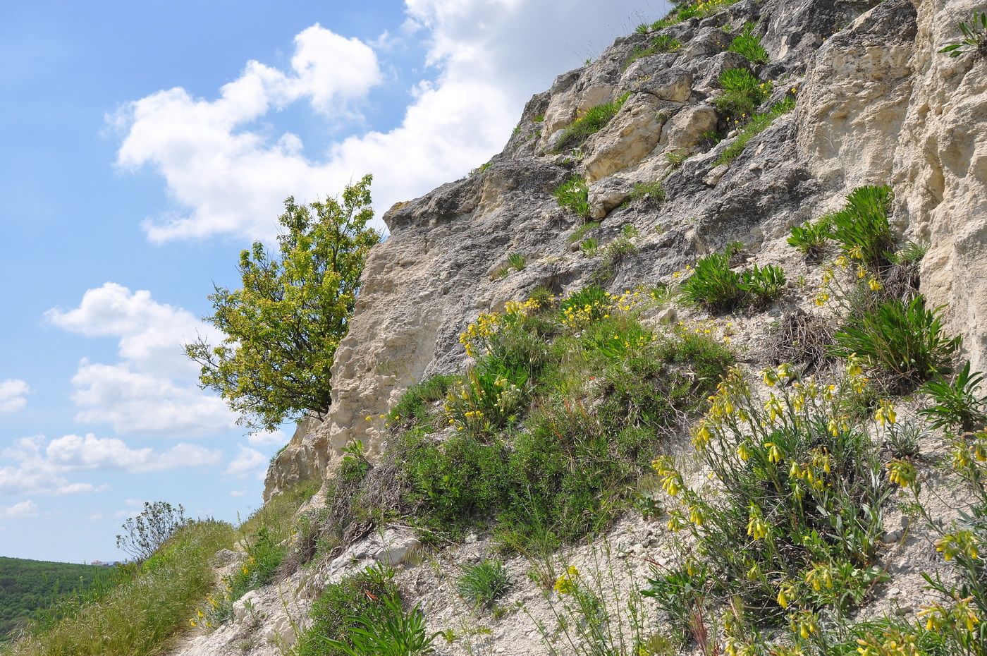 Окрестности мкр-на Пневматика, image of landscape/habitat.