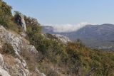 Image of landscape
