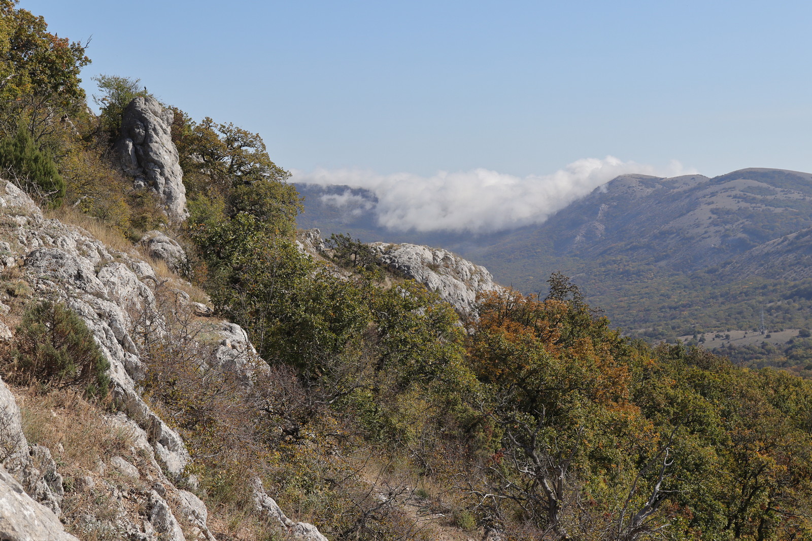 Байдарская Яйла, image of landscape/habitat.
