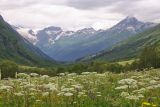 Долина реки Домбай-Ульген, изображение ландшафта.