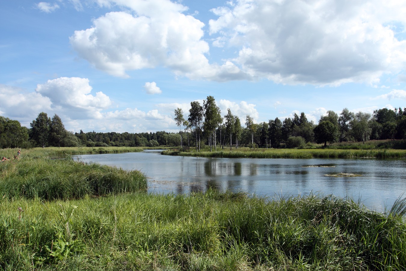 Парк "Зверинец", image of landscape/habitat.