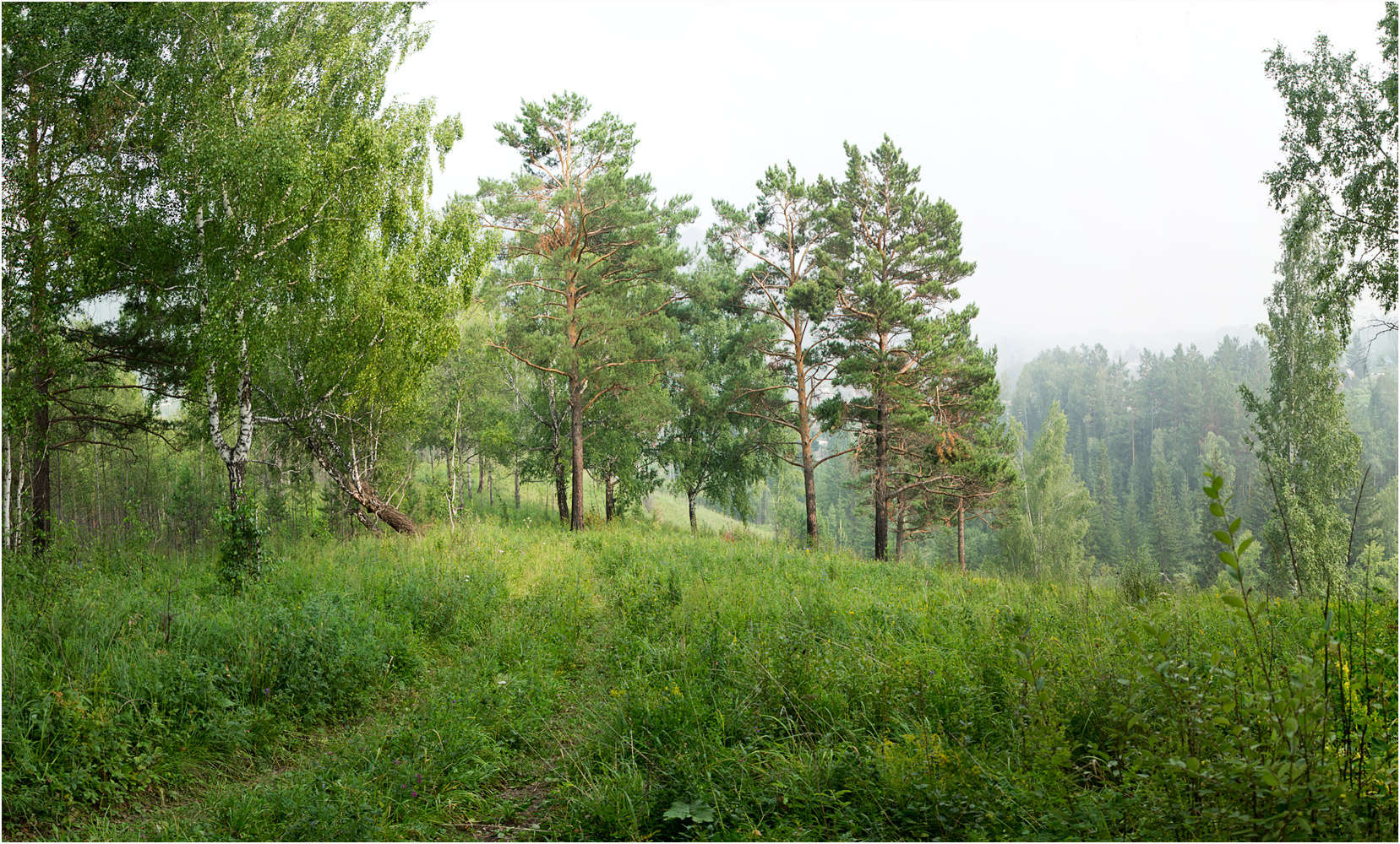 Красноярск и окрестности, image of landscape/habitat.
