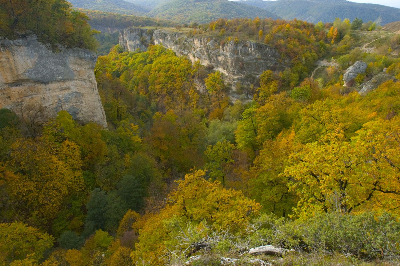 Долина реки Мишоко, изображение ландшафта.