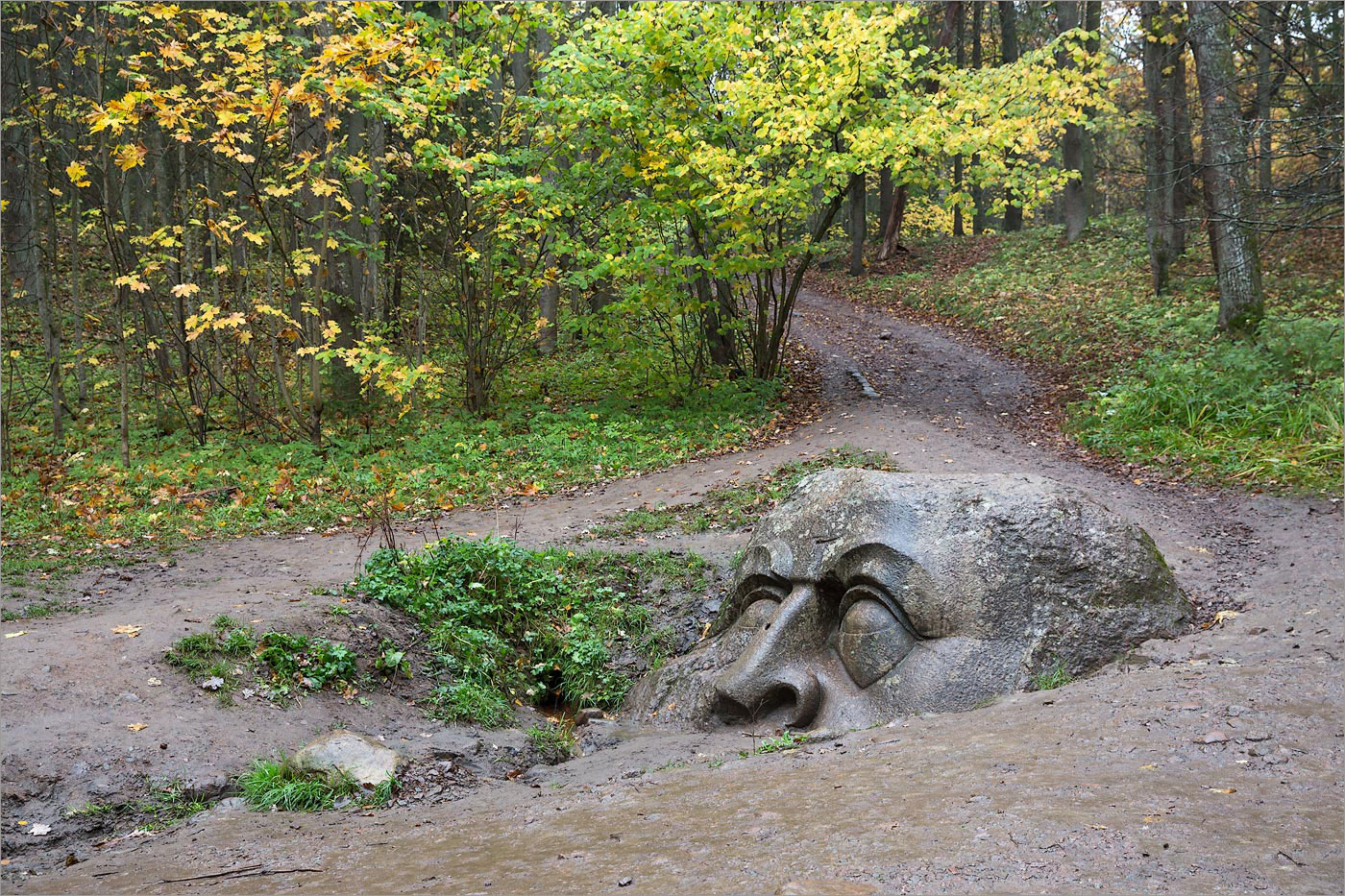 Парк "Сергиевка", image of landscape/habitat.