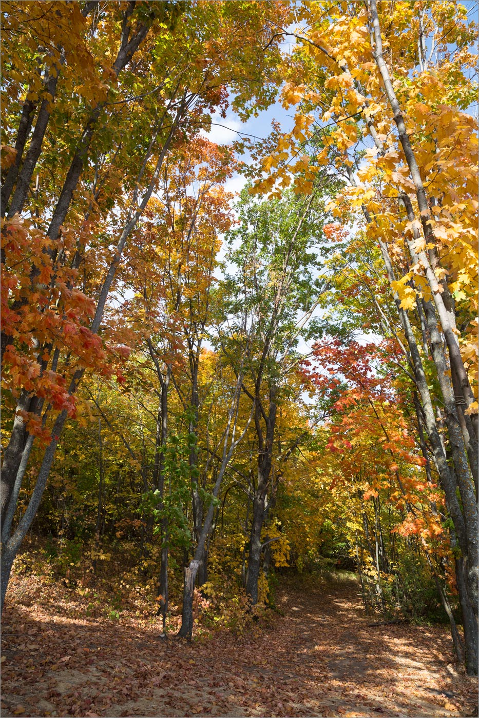 Камское Устье, image of landscape/habitat.