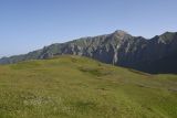 Image of landscape