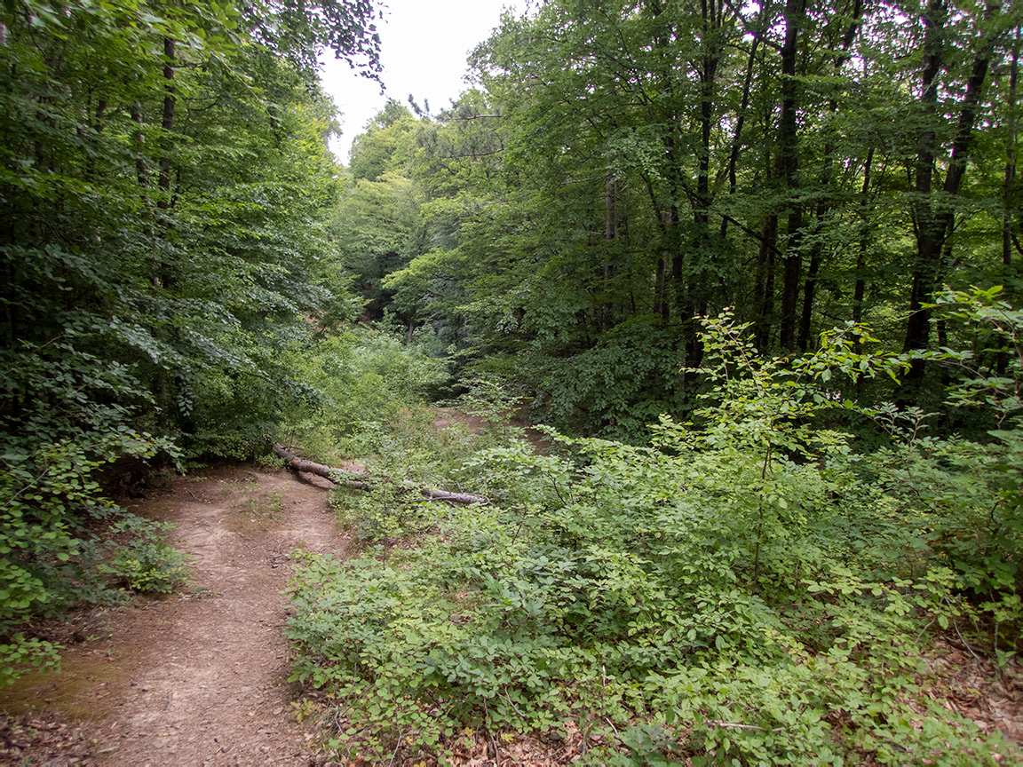 Ангарский перевал, image of landscape/habitat.