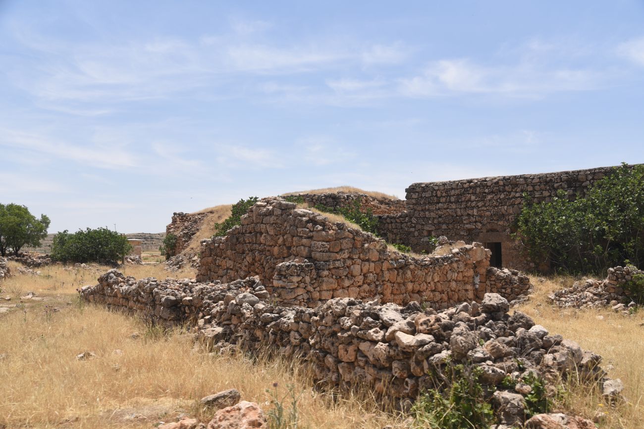 Избирак (Заз), image of landscape/habitat.