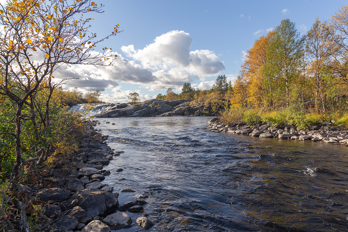 Река Ура, image of landscape/habitat.