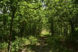 Цинубанская баня, image of landscape/habitat.