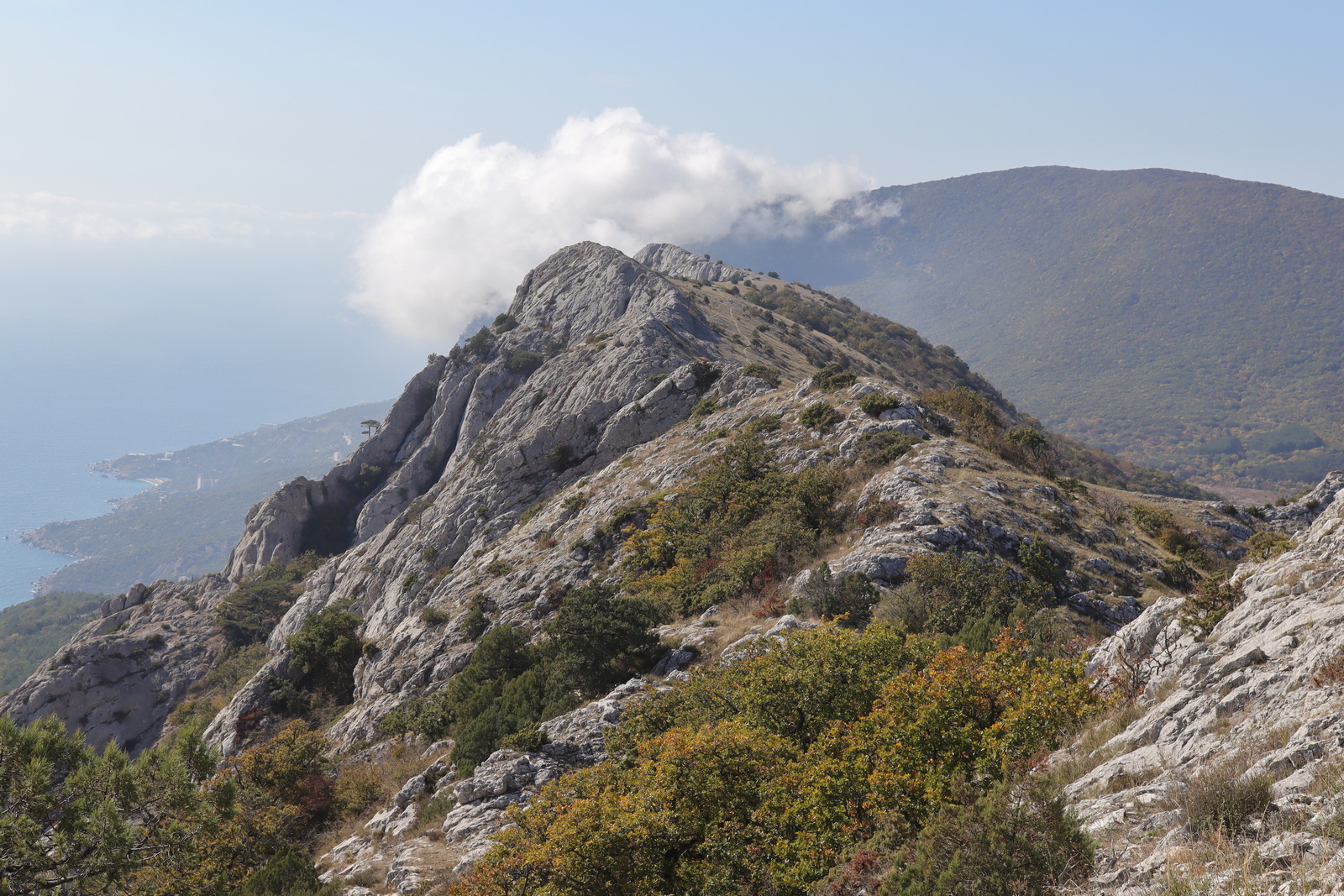 Байдарская Яйла, image of landscape/habitat.