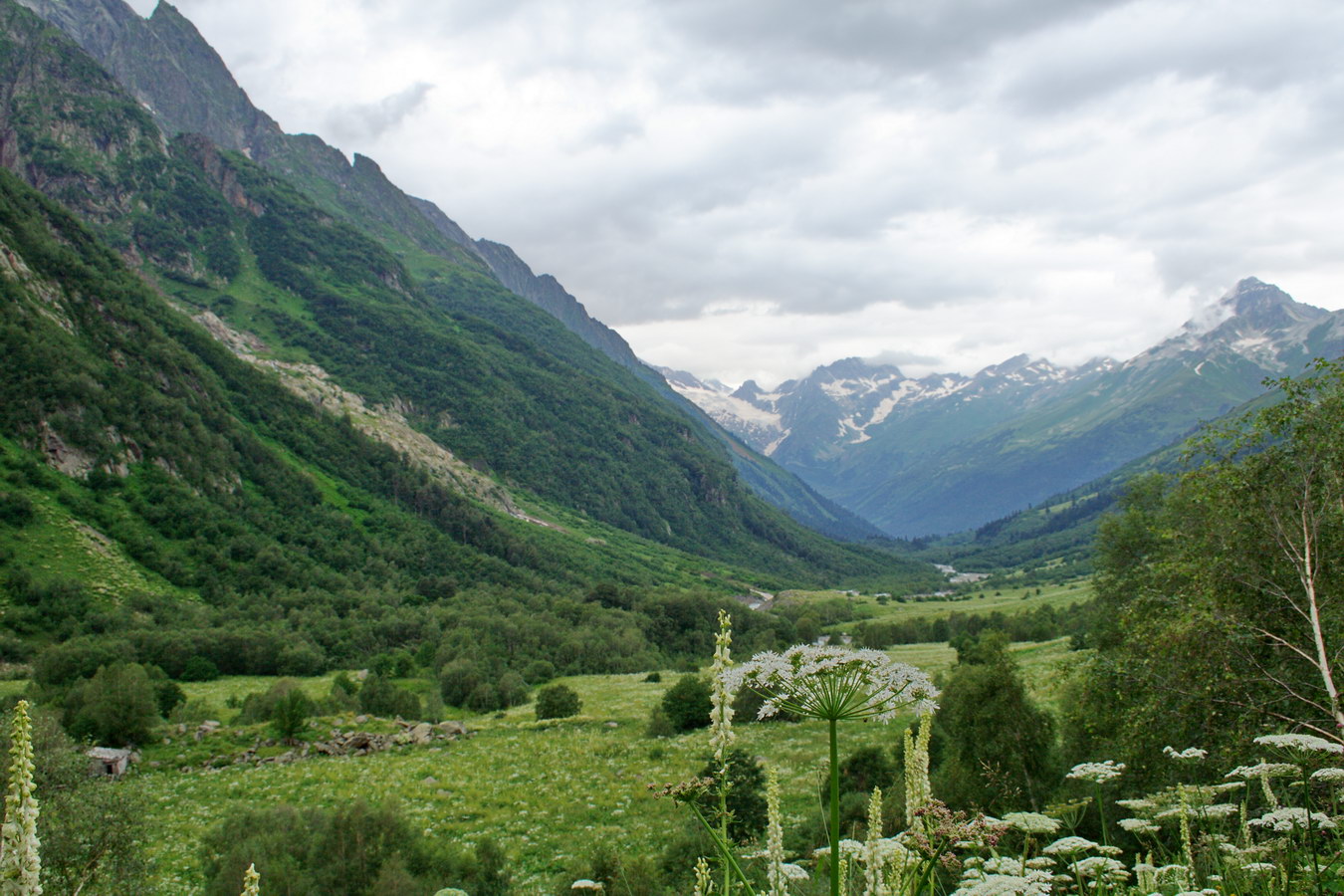 Долина реки Домбай-Ульген, image of landscape/habitat.