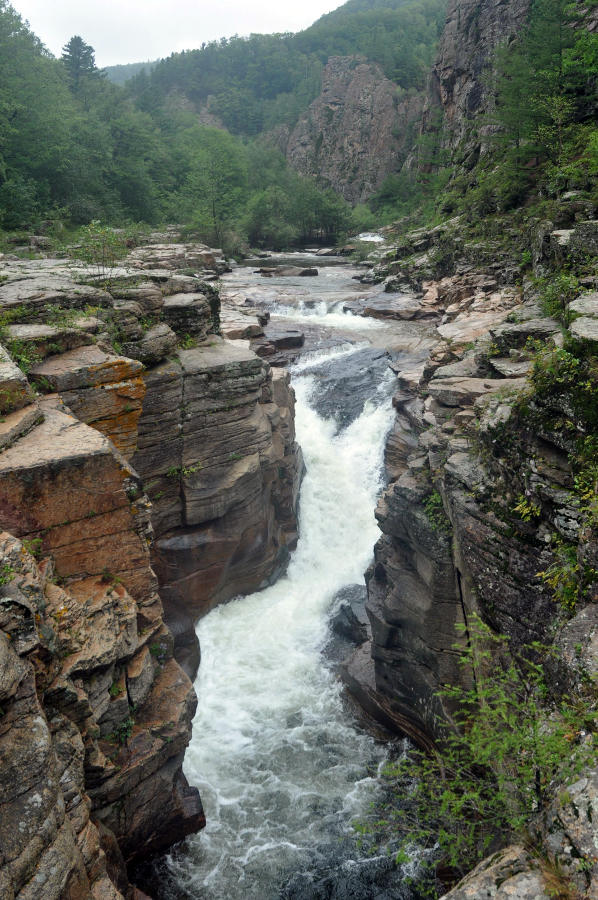 Долина реки Милоградовка, image of landscape/habitat.