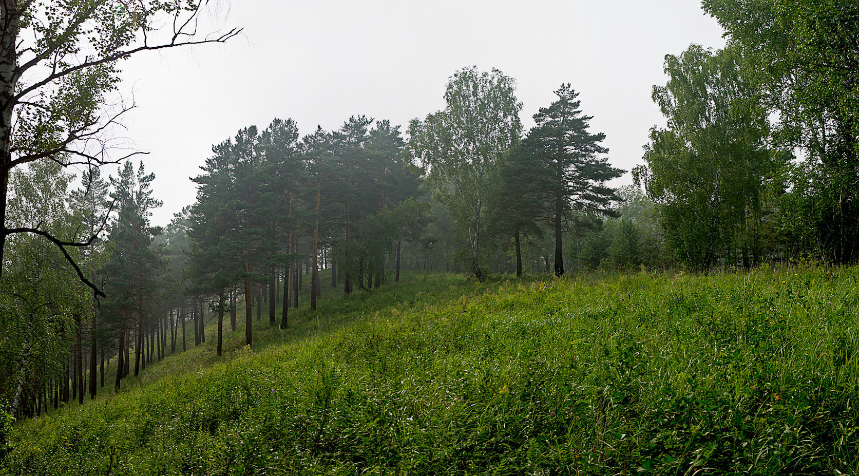 Красноярск и окрестности, image of landscape/habitat.