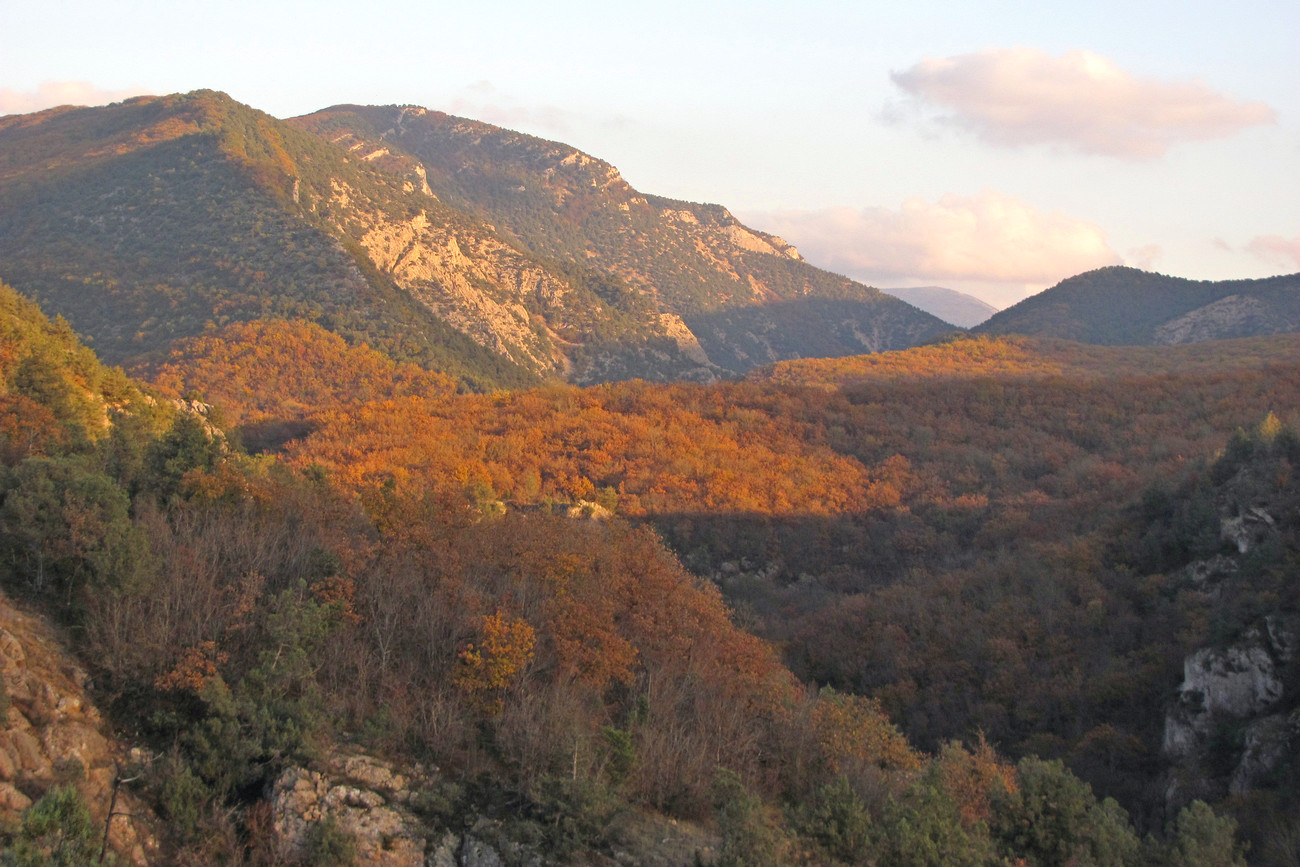 Чернореченский каньон, image of landscape/habitat.