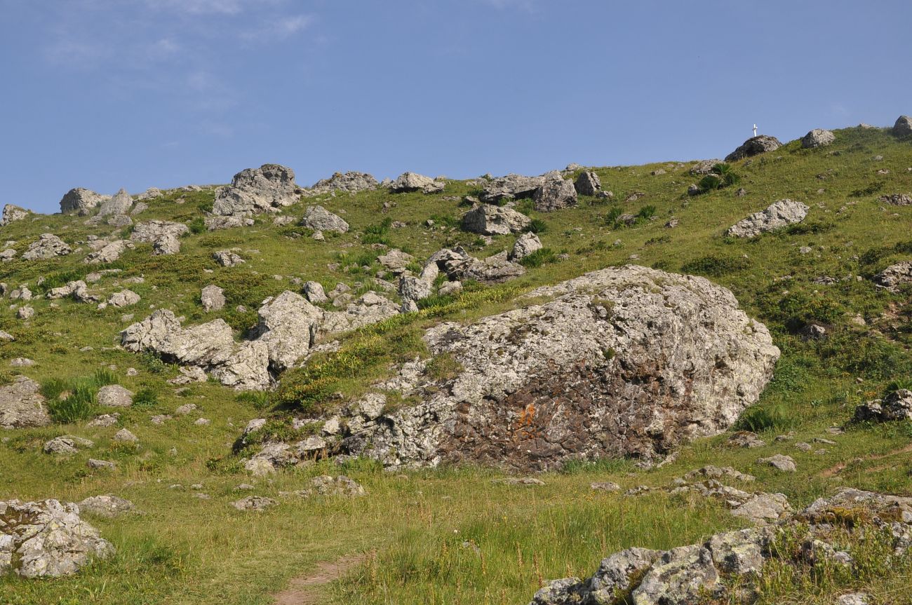 Голубое Абуделаури и окрестности, image of landscape/habitat.
