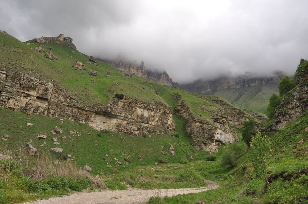 Окрестности скалы Арка, image of landscape/habitat.