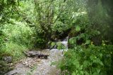 Image of landscape