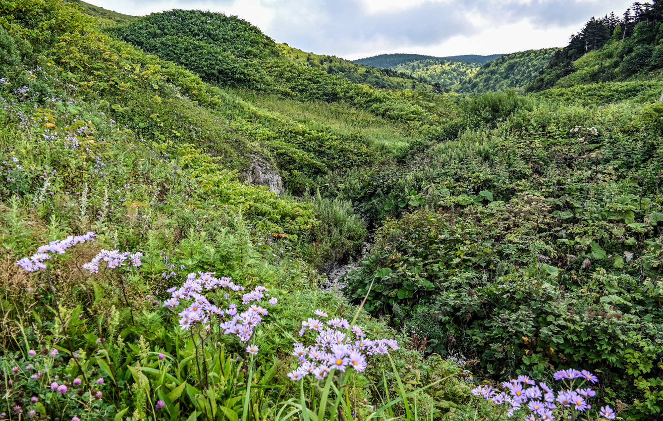 Окрестности села Новиково, image of landscape/habitat.