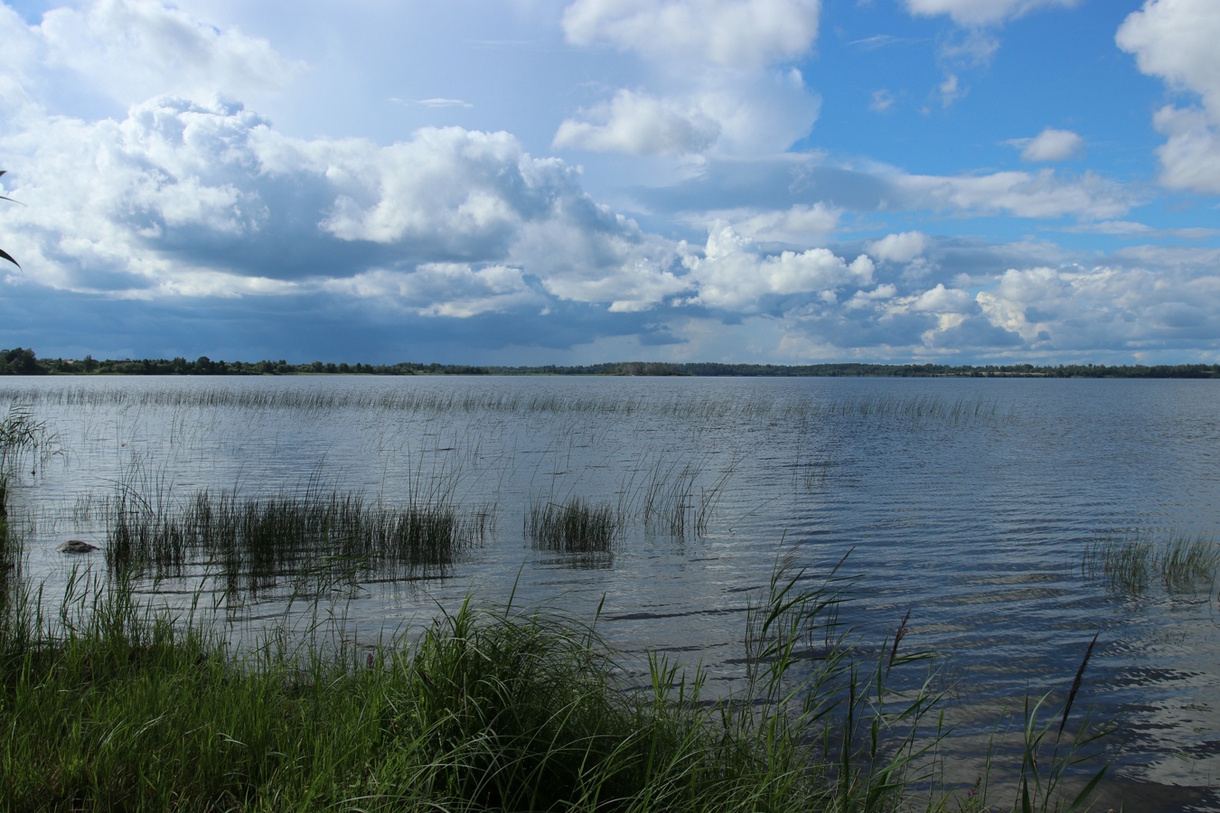 Езерище и окрестности, image of landscape/habitat.